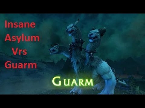 Insane Asylum Vrs Guarm