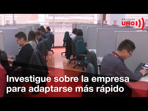 How to adapt to a new job? | Noticias UNO