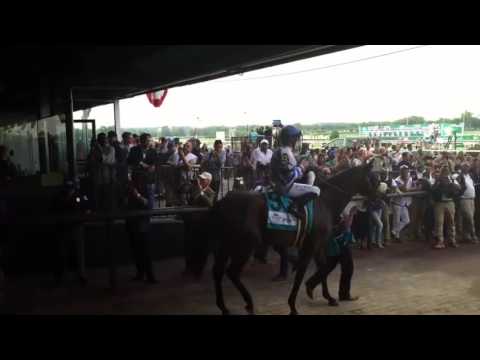 2016 Belmont Stakes
