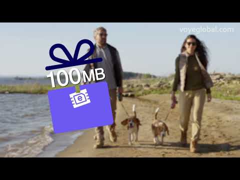 Voye Global - Best Travel eSIM