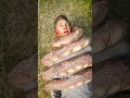 How A Snake Could Choke A Human