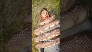 How A Snake Could Choke A Human 😱