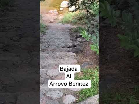 Bajada al arroyo Benítez #argentina #turismo #cortaderas #sanluis #travel