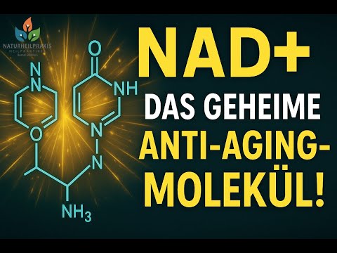 NAD, NAD+, NADH: Energy, aging, and biohacking – explained in an understandable way