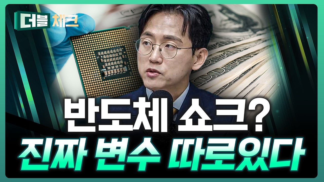 반도체 조정장 기회일까? 진짜 핵심은… | 장우진 작가 [더블 체크]