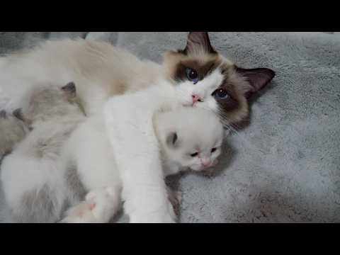 YouTube 썸네일