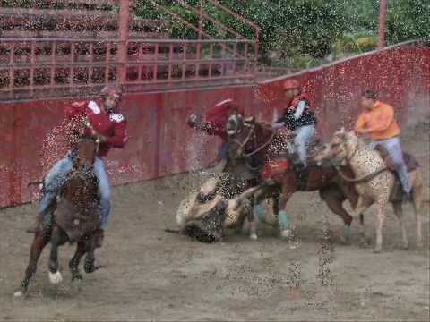 Al Campeon ARNALDO ARMAS