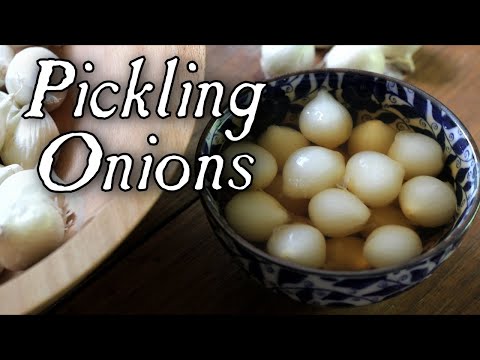 Pickling Onions Made Easy! - Historical Food Preservation