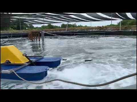 Аэратор для пруда турбо-эжекторный (2,2кВт/380В) антиобледенитель YASSEN DOUBLE JET-2.2 - фото 1 - id-p2782249033