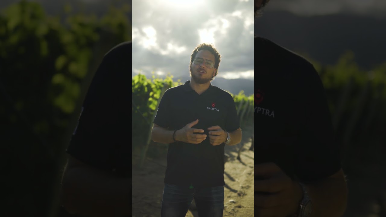 Calyptra - Historia de su nombre, por Calyptra Wines