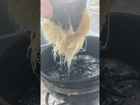 Ambrosia Cbd Gummies: A Practical Look At Everyday Use [51HnhBATLZy]