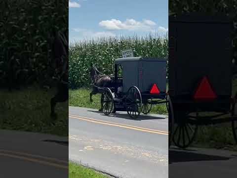 Visiting the Amish community in Pennsylvania, USA