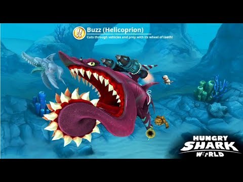 Most Sharks Eaten Contest (Buzz Helicoprion) South China Sea - Hungry Shark World