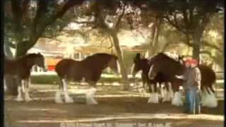 Auld Lang Syne - The Real Mackenzies