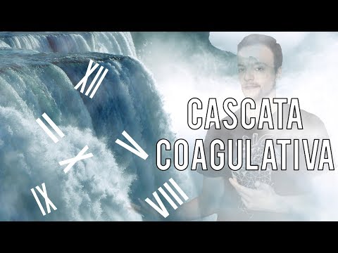 Esercizio trattamento della colonna vertebrale osteocondrosi Congiunta 1b uzi