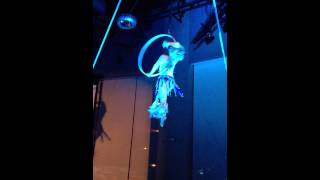 Aerial Hoop - Shredder Hoops, San Jose, CA