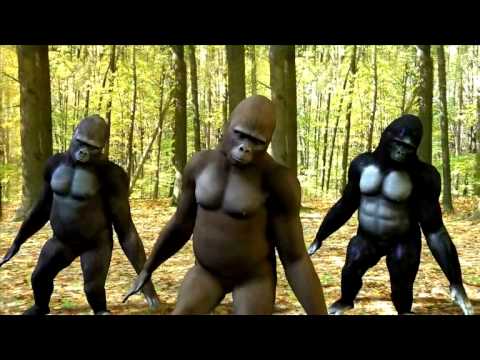 Baboons dancing Lead my Way