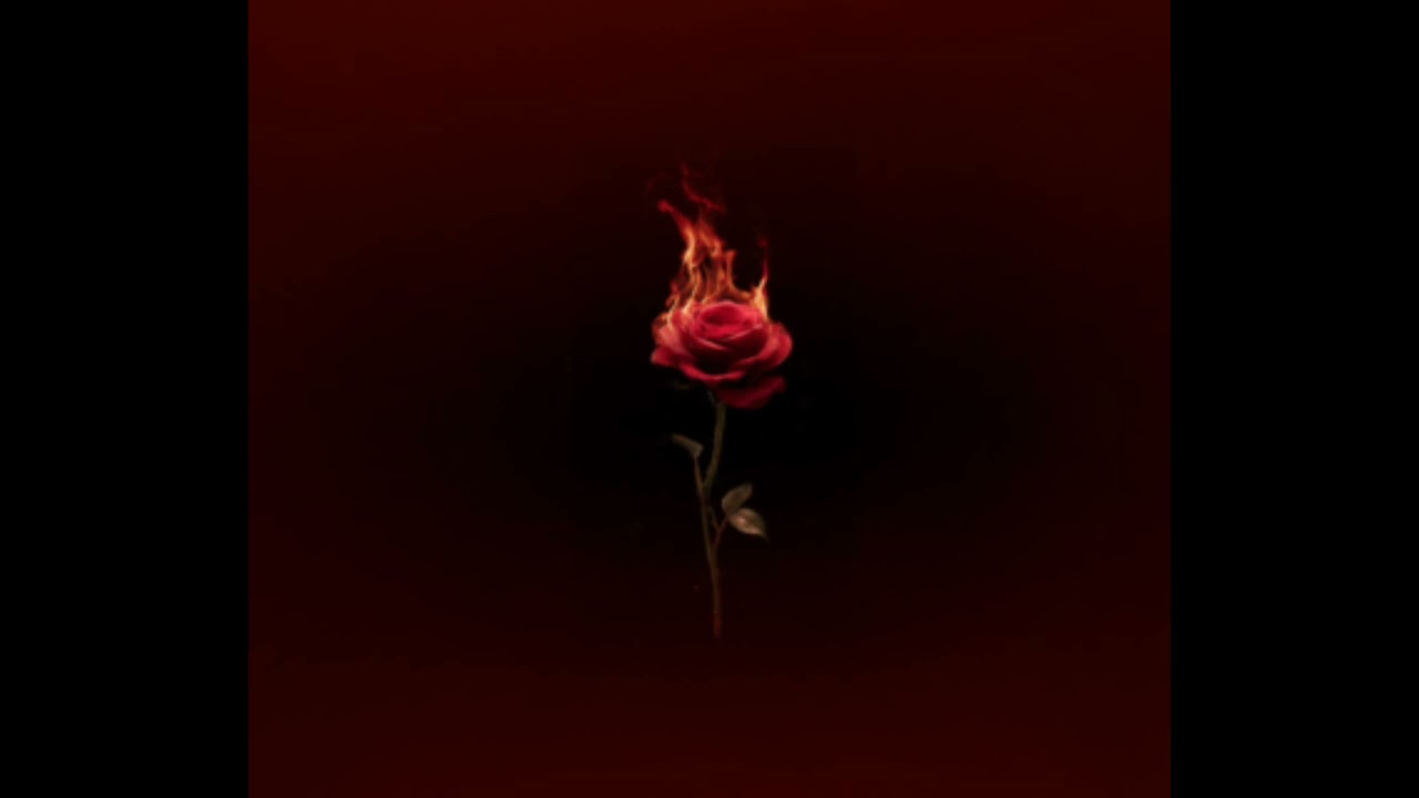 Animal Love — Spirit ParkTrilha sonora de OH.D.V. (Wattpad 📚)