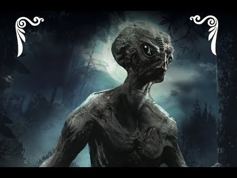 Learn To Play Doppelgänger