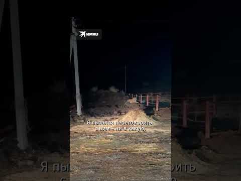 Тигр стал свидетелем смешного разговора полицейских и мужика в селе Кугуки