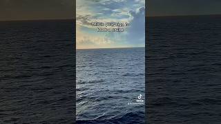 Did ASMR convince you? #cruise #royalcaribbean #utopiaoftheseas #carnivalcruise #carnivaljubilee