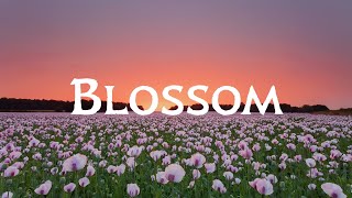 Porter Robinson - Blossom Lyrics