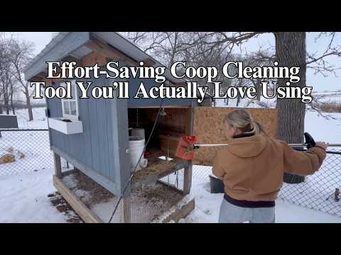 Coop Cleaning Made Simple | 2-in-1 Rake & Scooper Review #chickencoop #ad