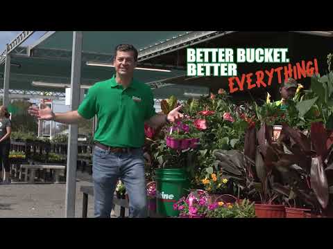 Emser Raku 3 in. x 12 in. Glazed Ceramic Blue - Video 2