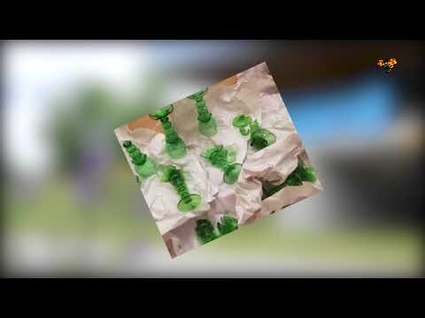 Jenaette, 60: "Så här får inte posten fungera"