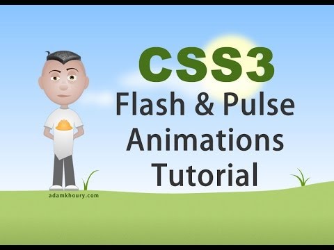 CSS3 Flash and Pulse Effects Animation Tutorial