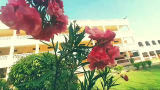 Keshav Vidya Vihar Senior Secondary School Video