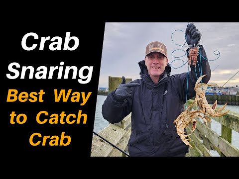 How to Crab Snare Dungeness Crab from Shore