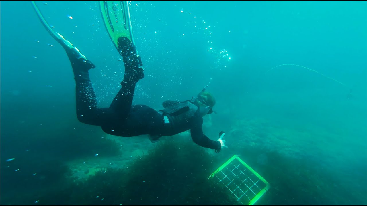 Annual Field Trip – Bachelor in Environmental Sciences for Sustainability