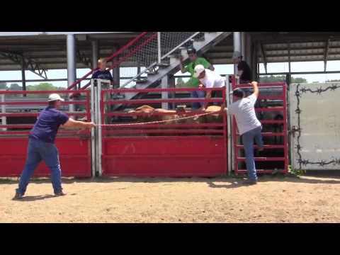 TBB 9536 LYJ/Locomotive Breath Daughter