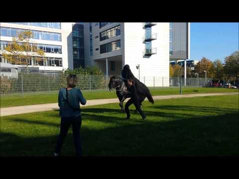 Nazgul mit echtem Pferd Ringcon 2014 Bonn