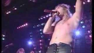 Warrant - Mr Rainmaker