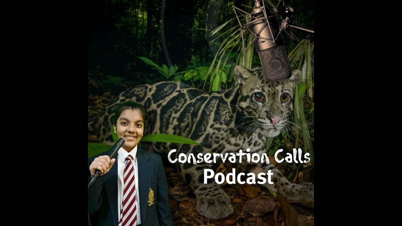Coexisting with Giants: Navigating Wild Cat-Human Conflict in Indonesia