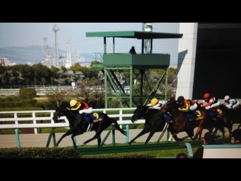 桜花賞(GⅠ) 現地 レース リバティアイランド コナコースト ペリファーニア ハーパー ドゥアイズ 2023/4/9 阪神競馬場 11R