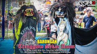 Download lagu BARONGAN TRENGGONO SEKAR ANOM LIVE NGERJO mp3