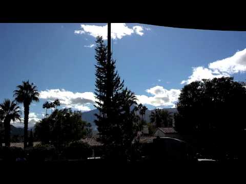 La Quinta Christmas Tree launch