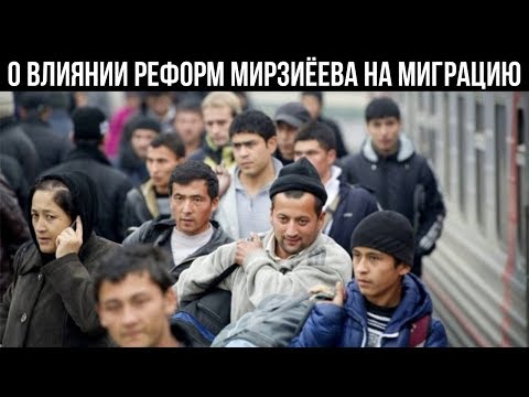 Экспорт о влиянии реформ Мирзиёева на миграцию узбекистанцев в РФ