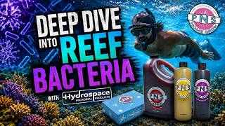 Deep Dive into Reef Bacteria with hydrospace