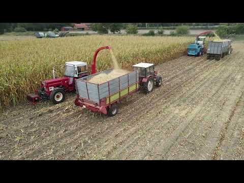 Maishäckseln 2025, Mengele SF4000, Kemper 2 Reiher, Oldihacker Pr Ströhen