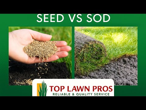 Seed vs Sod: What’s Better for Your Lawn in Florida? | Pros &amp; Cons Explained | Top Lawn Pros