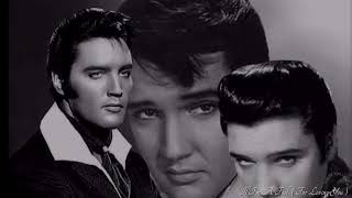 If I'm a Fool For Loving You   Elvis  Presley