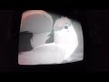Opening To The Black Cauldron 1998 VHS Version 1