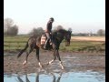Reflex Weer Beginnen Nov2009
