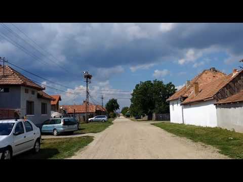 ION   SEBESI PETRESTI