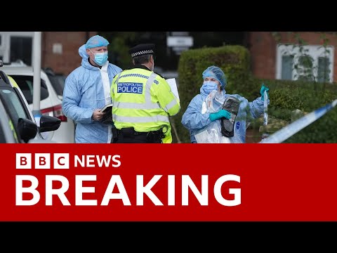 Video | Afghan man charged with murder after dog walker killed in triple stabbing in London | BBC News