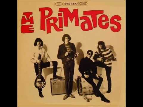 The Primates   You Drive Me Wild